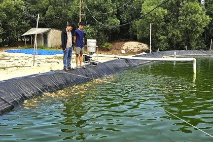 A young Vietnamese entrepreneur makes waves with Koi breeding startup